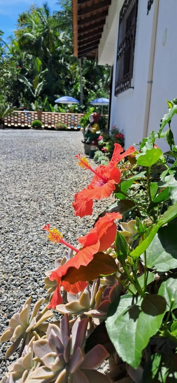 Holiday home Recanto Area Verde, Tradicao E Cultura Alema